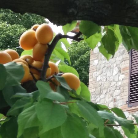 Hotel Ai Prati Vecchi Marsciano Exteriér fotografie